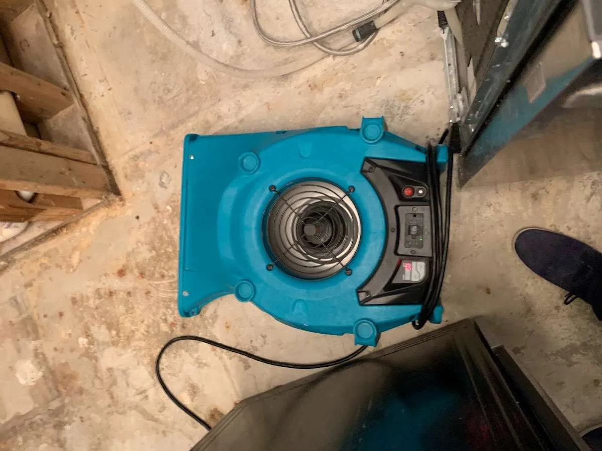 Air mover drying equipment for Mold Remediation & Removal in Flower Mound